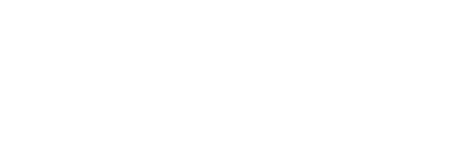Seer